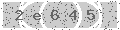 verify code